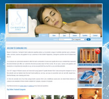 Cairngorm Spas Website